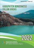 Kabupaten Bondowoso Dalam Angka 2022